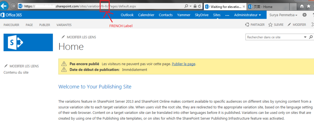 Using Variations to create multilingual sites in SharePoint