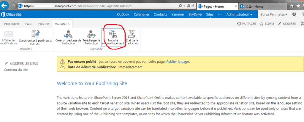 Using Variations to create multilingual sites in SharePoint