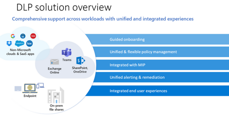 A Guide to Seamlessly Adopting Microsoft Purview for Your Organization ...