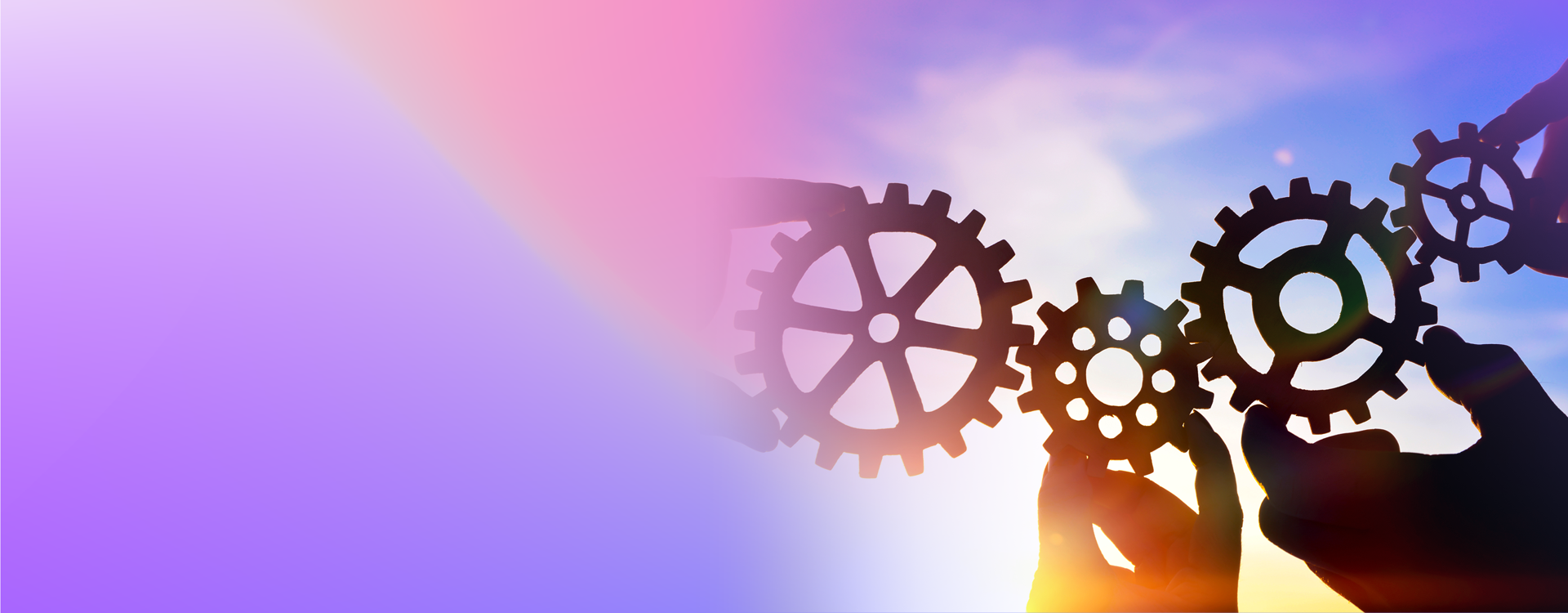 Accelerate Integration. Minimize Disruption.