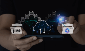 Non-profit Organization